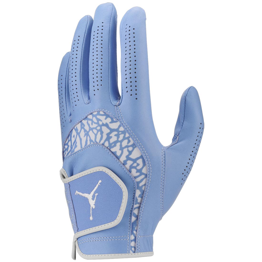Nike Jordan Tour Golf Glove