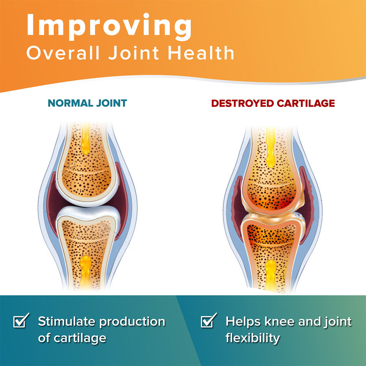 Super Flex Joint Formula Drink Powder