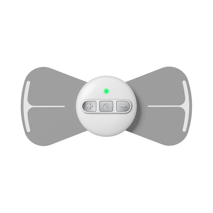 Electronic Pulse TENS EMS