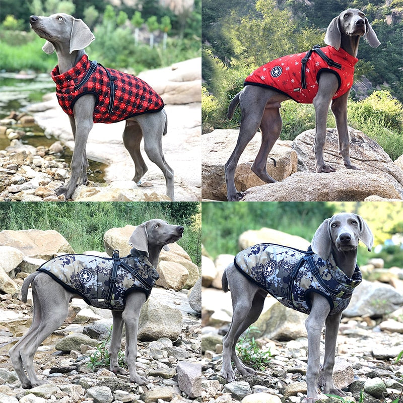 Chaqueta para mascotas de invierno impermeable con arnés incorporado